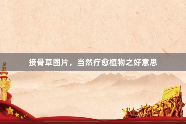 接骨草图片，当然疗愈植物之好意思