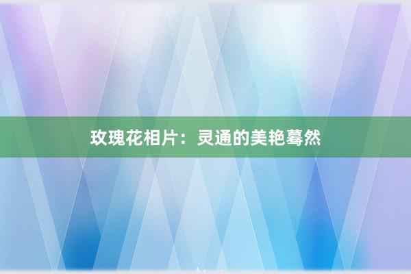 玫瑰花相片：灵通的美艳蓦然